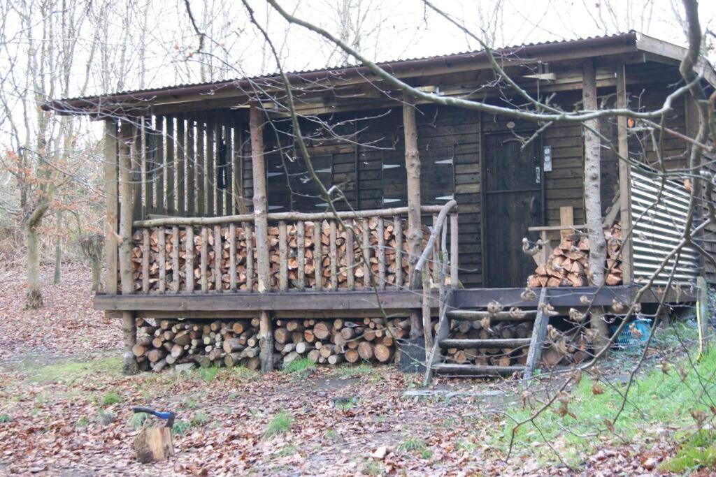 Secret Woodland Hideaway For Two Campsite Ilfracombe
